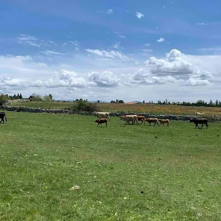 Casa de Férias Braulio Herradon de Pinares