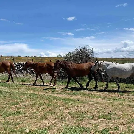 Braulio * Herradon de Pinares