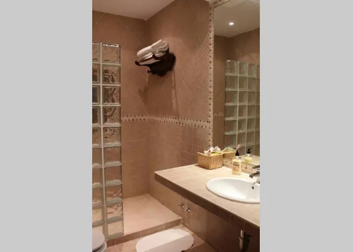 Braulio Herradon de Pinares