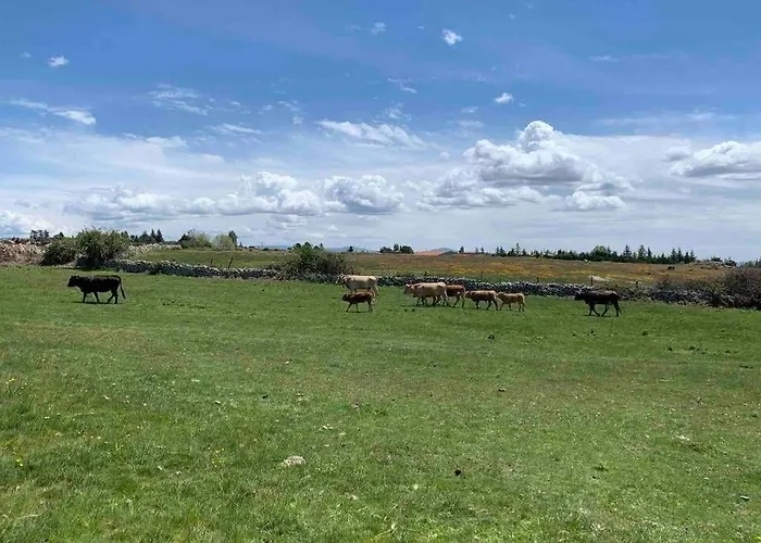 Nyaraló Braulio Herradón de Pinares